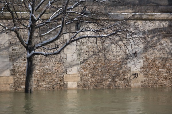 Paris under the snow, February 2018