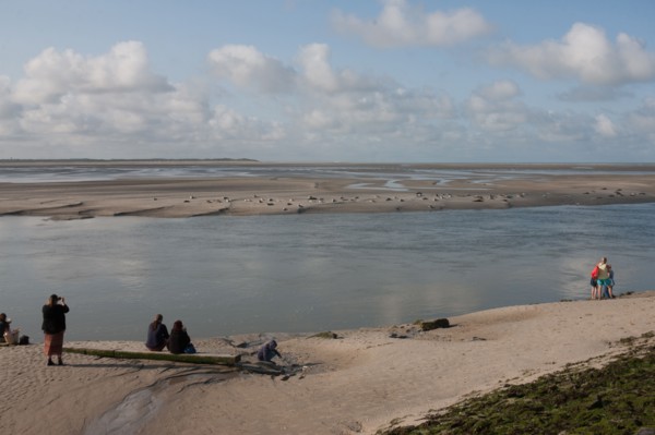 Baie d'Authie (Pas-de-Calais, France)