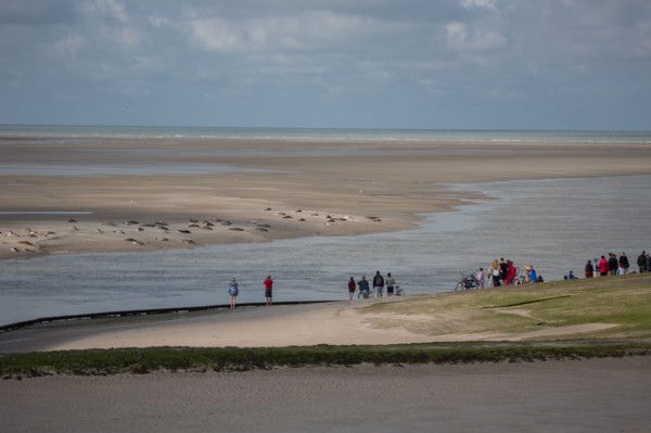Baie d'Authie (Pas-de-Calais, France)