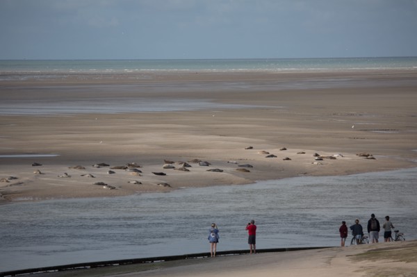 Baie d'Authie (Pas-de-Calais, France)