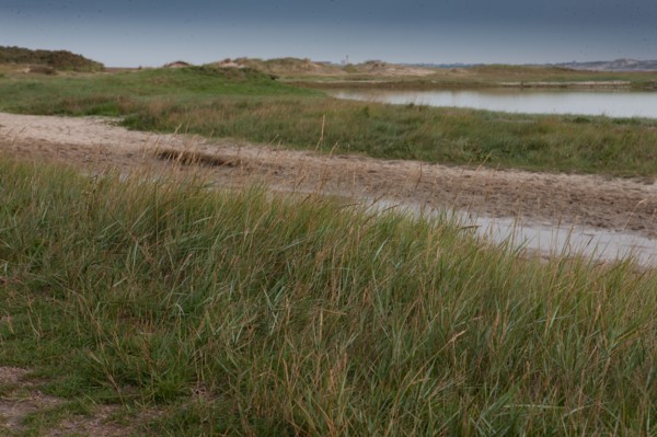 Baie d'Authie (Pas-de-Calais, France)
