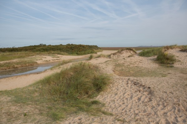 Baie d'Authie (Pas-de-Calais, France)