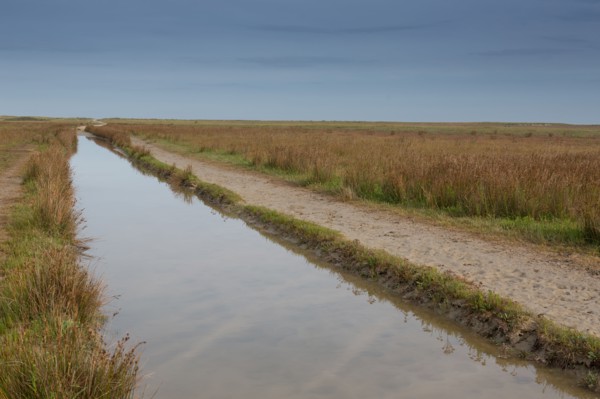 Baie d'Authie (Pas-de-Calais, France)