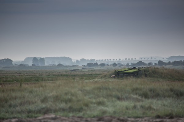 Baie d'Authie (Pas-de-Calais, France)