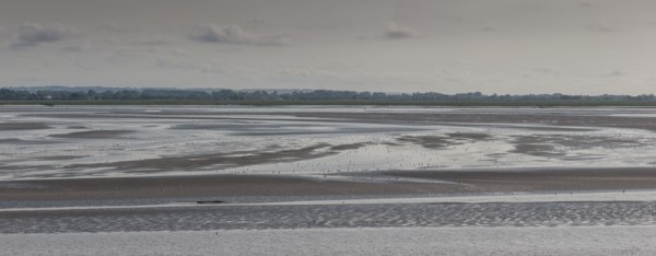 Le Crotoy (Baie de Somme, France)
