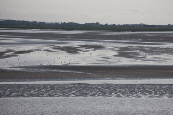 Le Crotoy (Baie de Somme, France)
