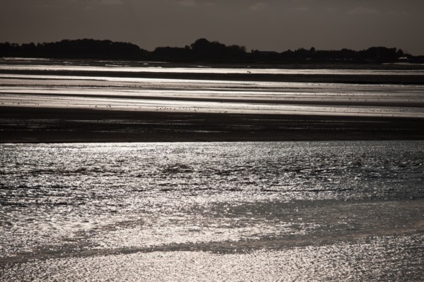 Le Crotoy (Baie de Somme, France)