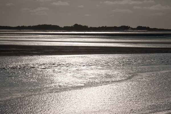 Le Crotoy (Baie de Somme, France)