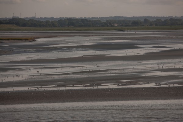 Le Crotoy (Baie de Somme, France)