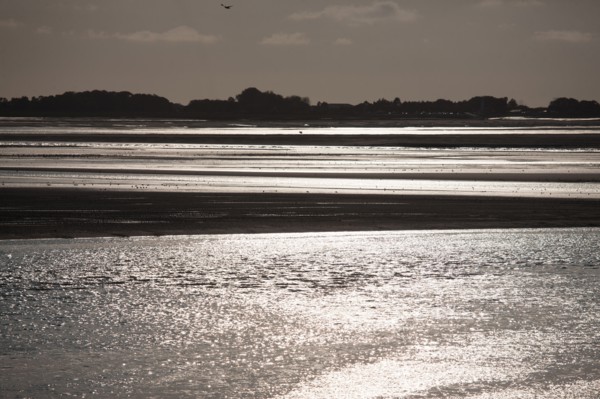 Le Crotoy (Baie de Somme, France)