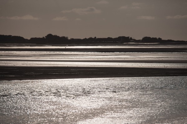 Le Crotoy (Baie de Somme, France)