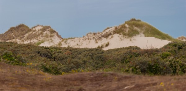 Quend (Baie de Somme, France), site de Belle Dune