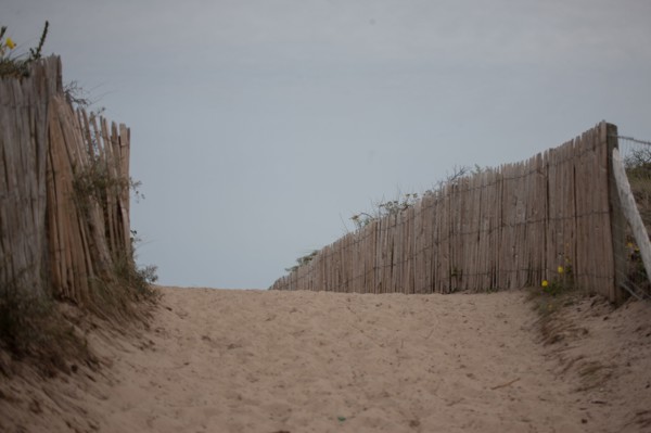 Quend (Baie de Somme, France), site de Belle Dune