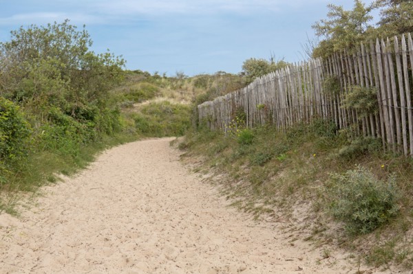 Quend (Baie de Somme, France), site de Belle Dune