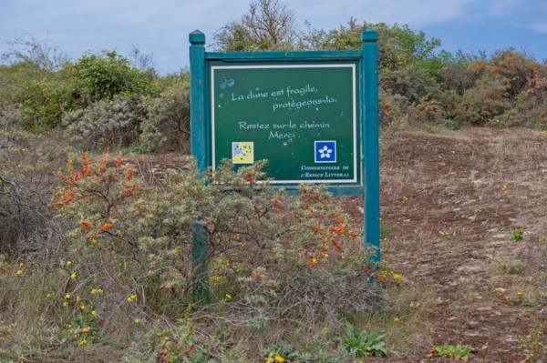 Quend (Baie de Somme, France), site de Belle Dune