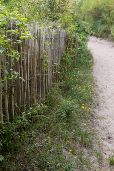 Quend (Baie de Somme, France), site de Belle Dune