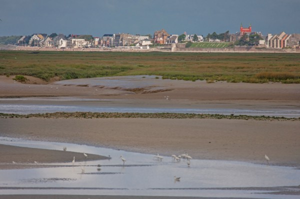 Saint-Valery-sur-Somme (Baie de Somme, France)