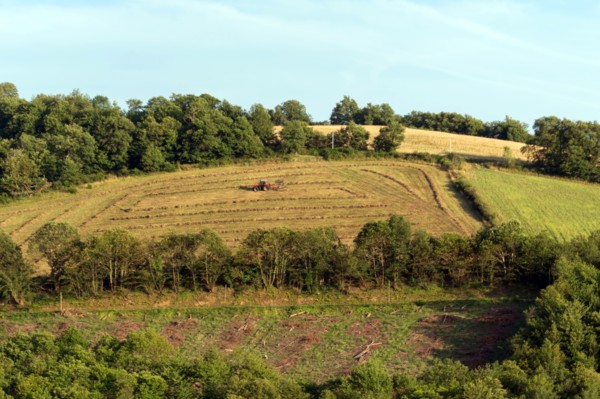 Parc des Grands Causses, Brousse-le-Château