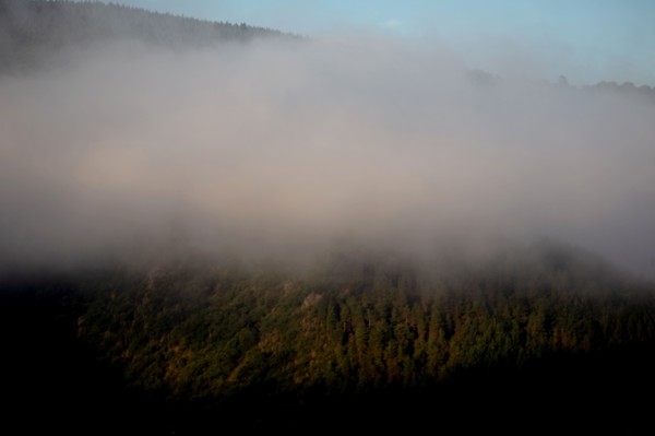 Parc des Grands Causses, brume matinale sur les gorges du Tarn