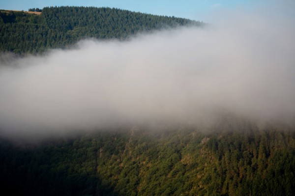 Parc des Grands Causses, brume matinale sur les gorges du Tarn