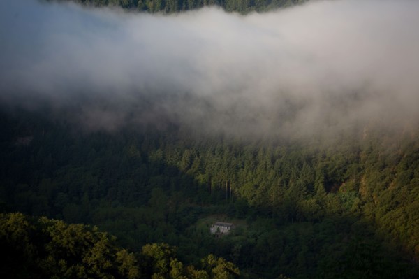 Parc des Grands Causses, brume matinale sur les gorges du Tarn