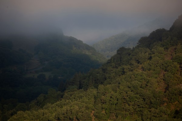 Parc des Grands Causses, brume matinale sur les gorges du Tarn