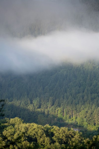 Parc des Grands Causses, brume matinale sur les gorges du Tarn