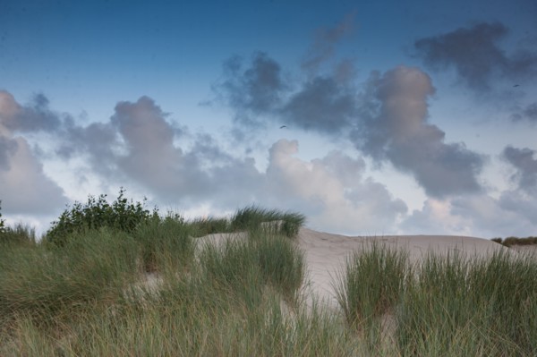 Le Touquet Paris Plage, dunes au dessus de la plage