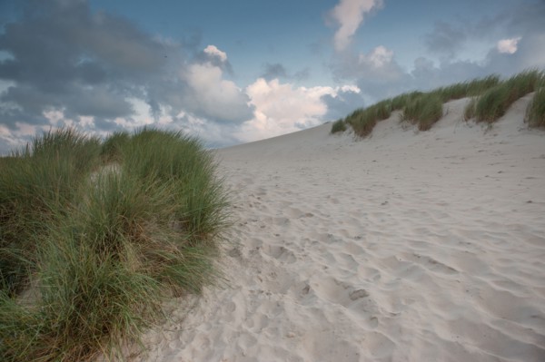 Le Touquet Paris Plage, dunes au dessus de la plage