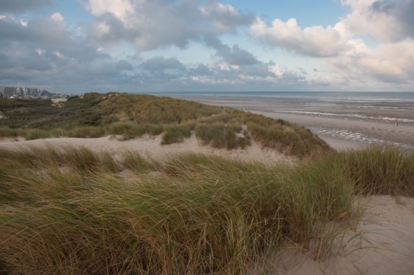 Le Touquet Paris Plage, dunes au dessus de la plage