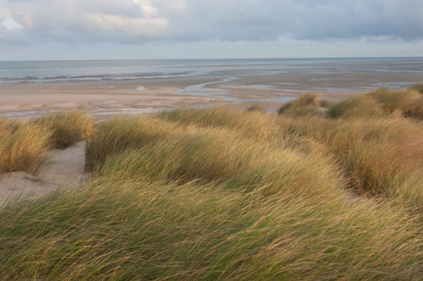 Le Touquet Paris Plage, dunes au dessus de la plage