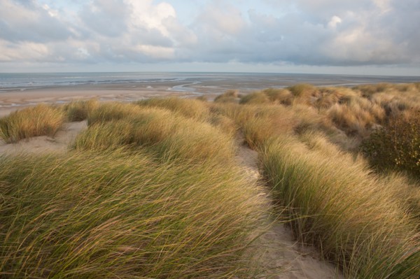 Le Touquet Paris Plage, dunes au dessus de la plage