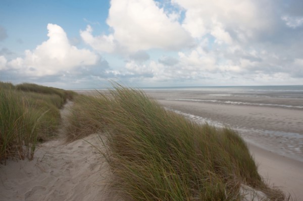 Le Touquet Paris Plage, dunes above the beach