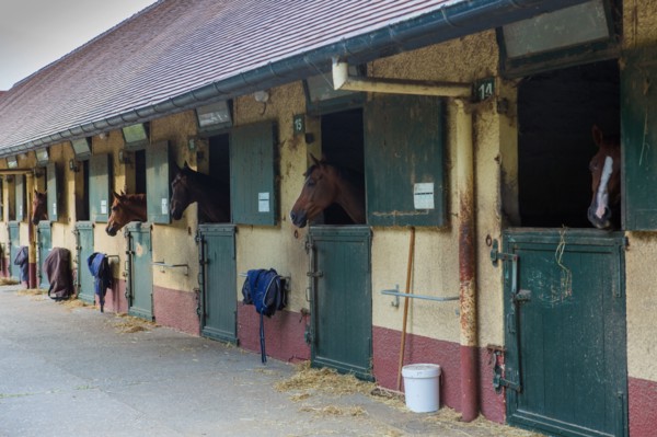 Le Touquet Paris Plage, equestrian centre