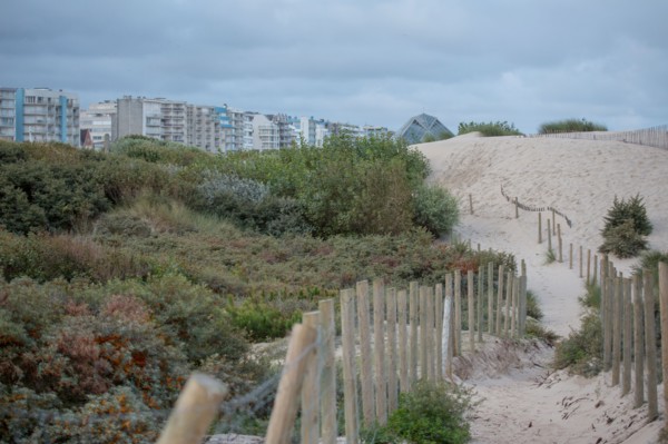 Le Touquet Paris Plage, dunes au dessus de la plage