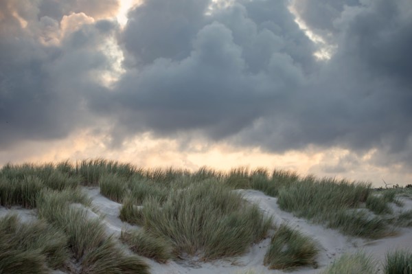 Le Touquet Paris Plage, dunes au dessus de la plage