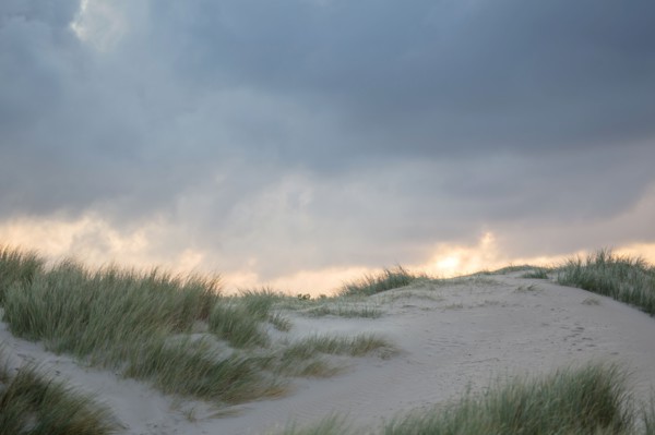 Le Touquet Paris Plage, dunes au dessus de la plage