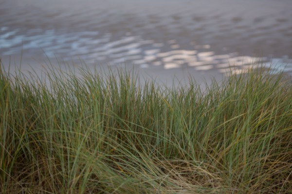 Le Touquet Paris Plage, dunes au dessus de la plage