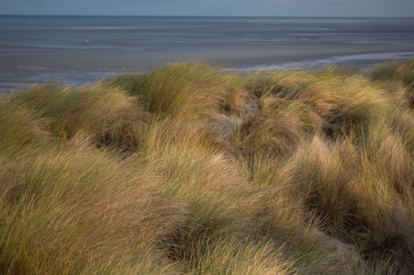 Le Touquet Paris Plage, dunes au dessus de la plage