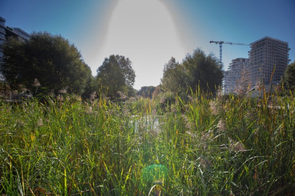 Paris, the new Batignolles neighborhood