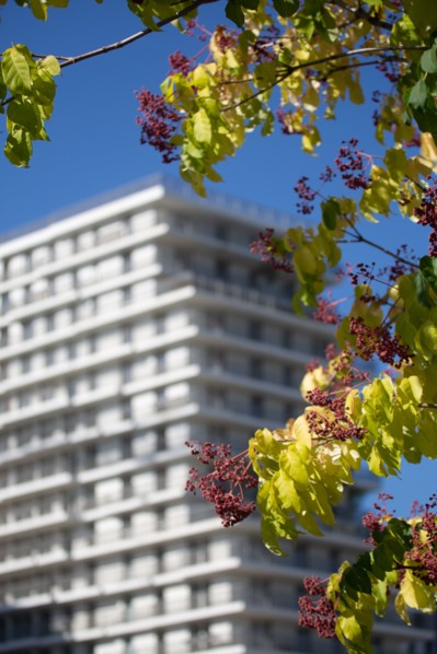Paris, nouveau quartier des Batignolles