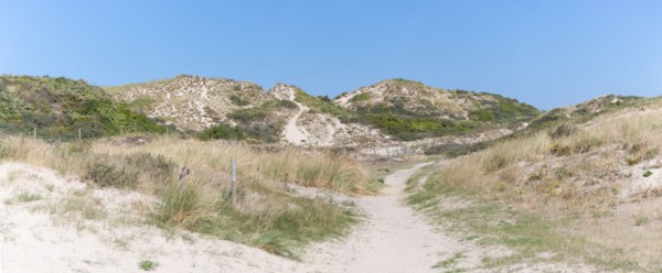 Cucq  Stella Plage (Côte d'Opale), dunes de Mayville