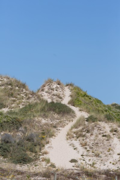 Cucq  Stella Plage (Côte d'Opale), dunes de Mayville