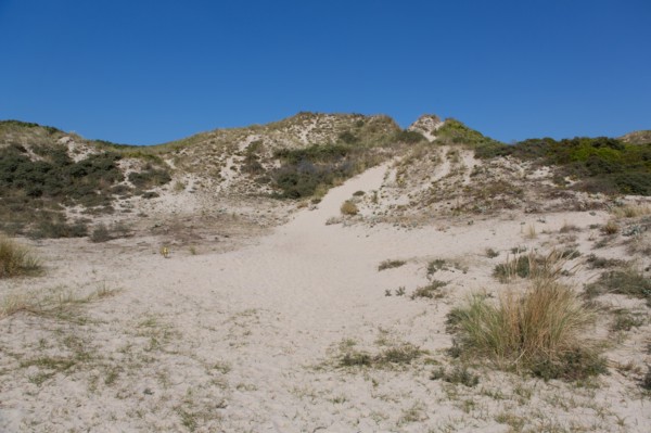 Cucq  Stella Plage (Côte d'Opale), dunes de Mayville
