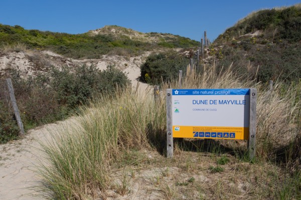 Cucq  Stella Plage (Côte d'Opale), dunes de Mayville