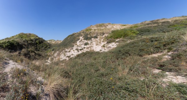 Cucq  Stella Plage (Côte d'Opale), dunes de Mayville