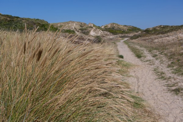 Cucq  Stella Plage (Côte d'Opale), dunes de Mayville