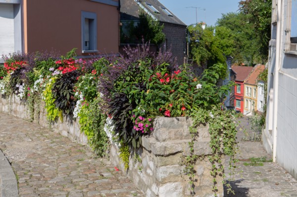 Montreuil-sur-Mer, parvis Saint-Firmin,