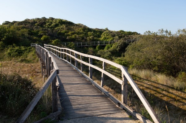 Merlimont Plage, sentier de découverte de la dune parabolique