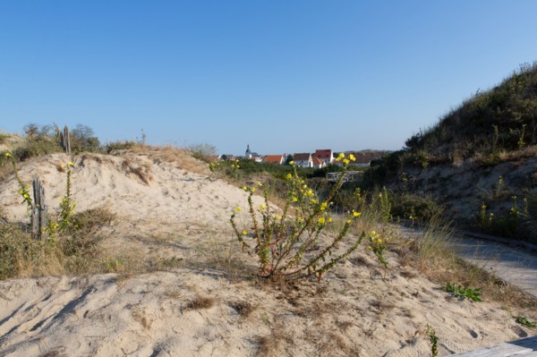 Merlimont Plage, sentier de découverte de la dune parabolique